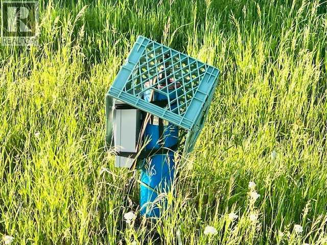 37232 Rr135, Rural Paintearth No. 18, Alberta  T0B 0X0 - Photo 5 - A2233581