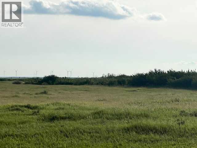 37232 Rr135, Rural Paintearth No. 18, Alberta  T0B 0X0 - Photo 6 - A2233581