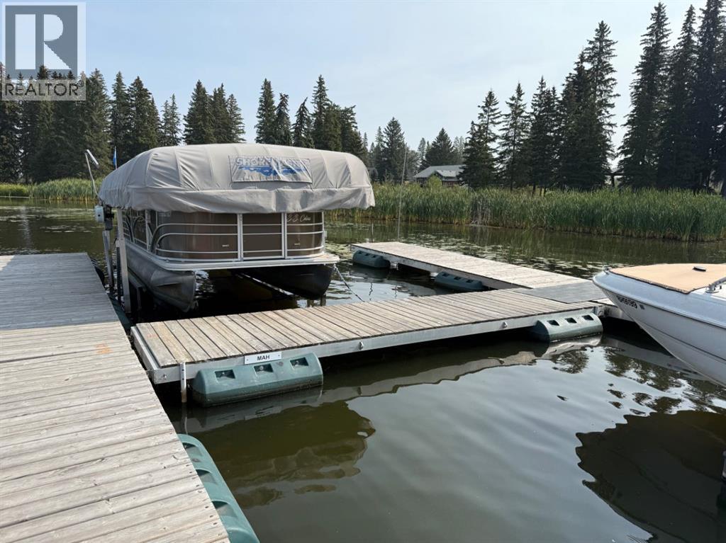 #7 Hauser's Cove, Buck Lake, Alberta  T0C 0T0 - Photo 8 - A2294779