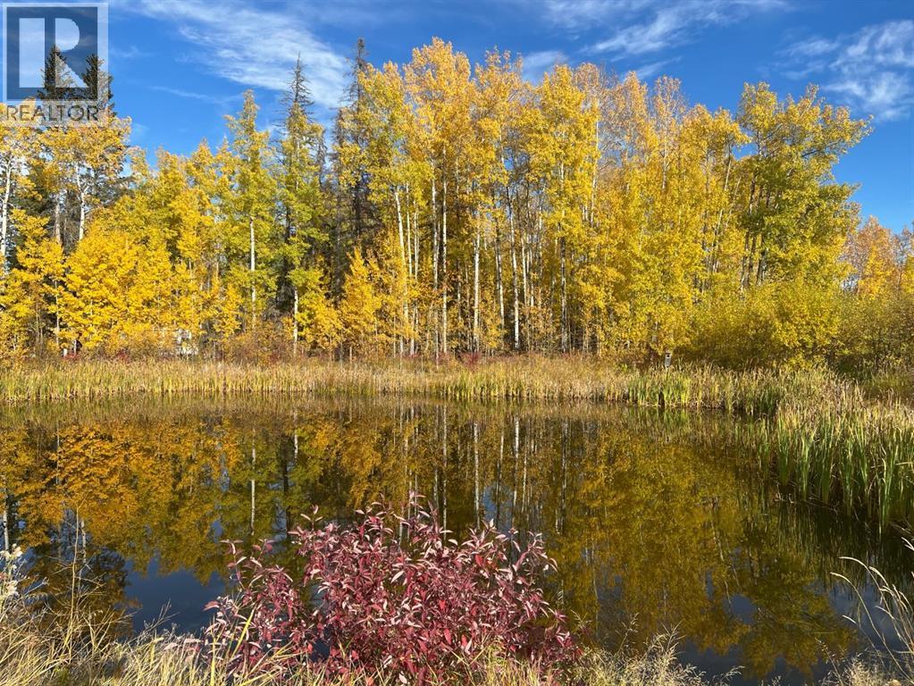 #7 Hauser's Cove, Buck Lake, Alberta  T0C 0T0 - Photo 12 - A2294779