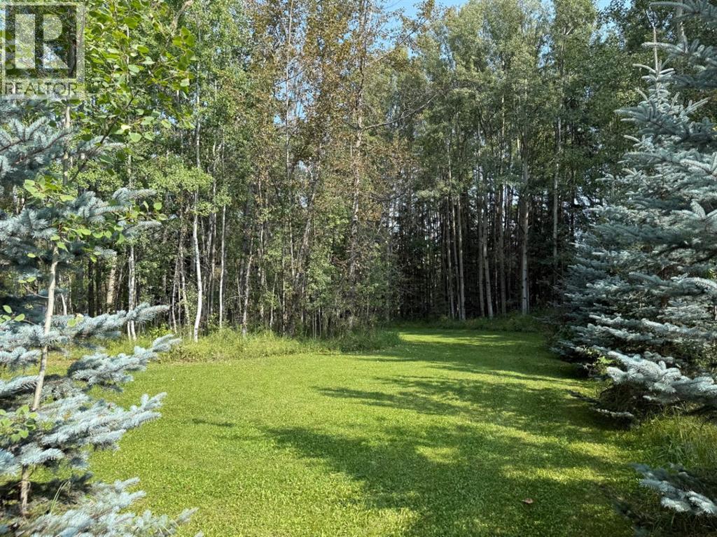 #7 Hauser's Cove, Buck Lake, Alberta  T0C 0T0 - Photo 5 - A2294779