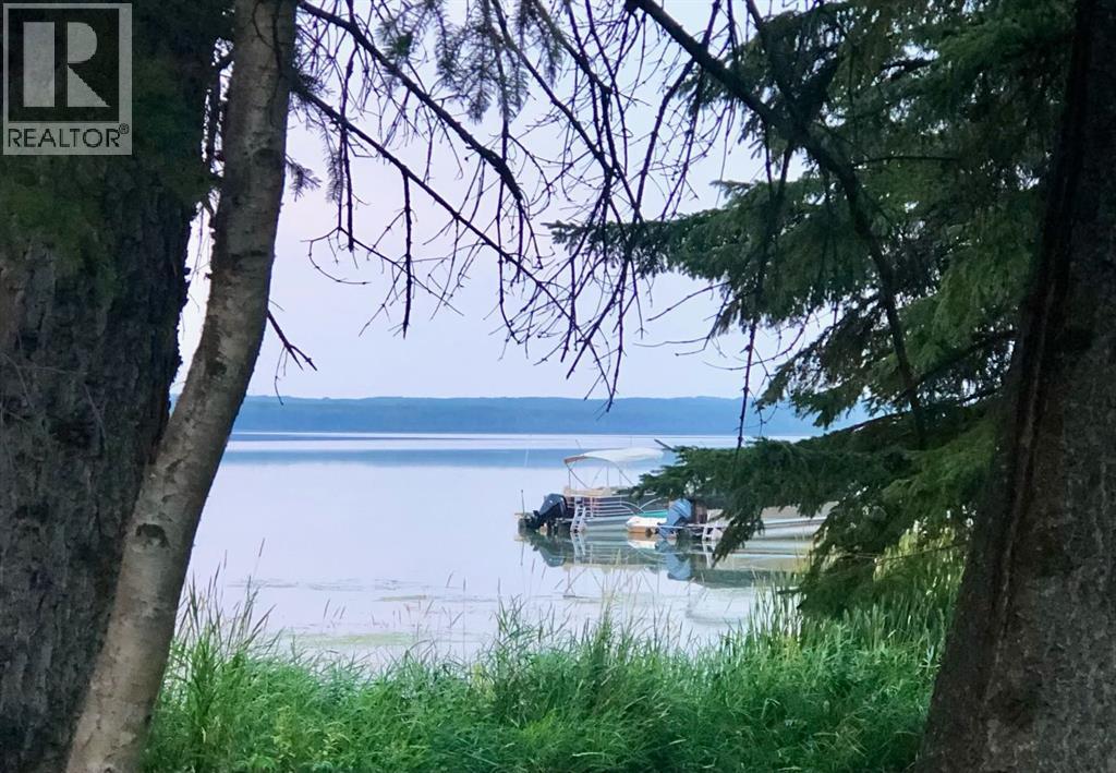 #7 Hauser's Cove, Buck Lake, Alberta  T0C 0T0 - Photo 7 - A2294779
