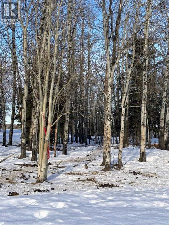 101071 Township Road 740, Rural Grande Prairie No. 1, Alberta  T0H 3M0 - Photo 29 - A2288282