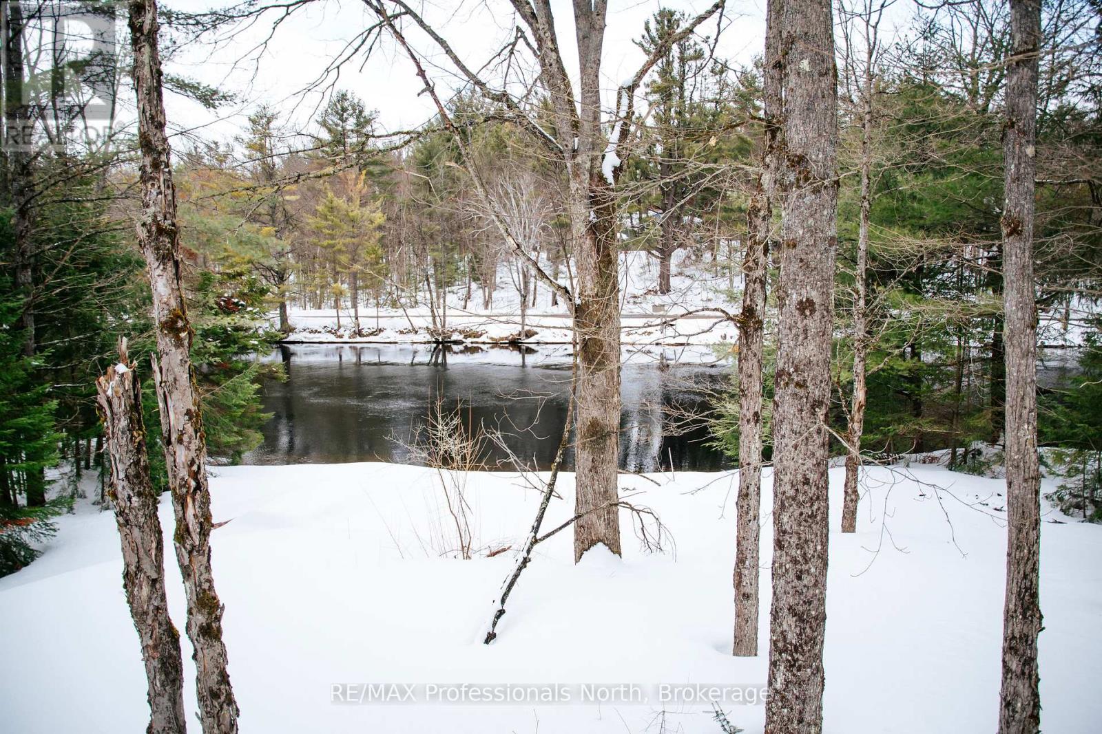 1114 River Haven Road N, Bracebridge, Ontario  P1L 1X1 - Photo 19 - X12912192