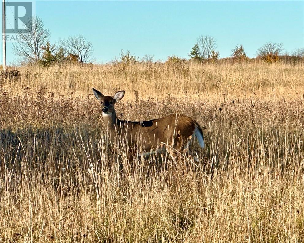 36 Fraser Street, Manitoulin Island, Ontario  P0P 1H0 - Photo 44 - 2126885