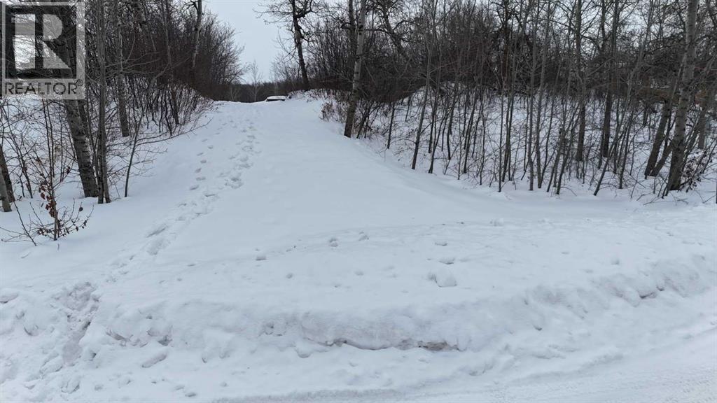 39 Sunset Lane, Rural Stettler No. 6, Alberta  T0C 2L0 - Photo 20 - A2288458