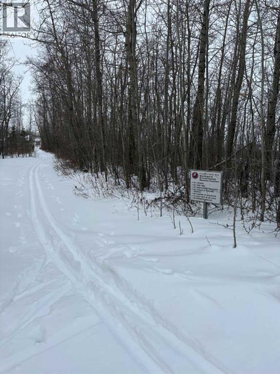 39 Sunset Lane, Rural Stettler No. 6, Alberta  T0C 2L0 - Photo 28 - A2288458