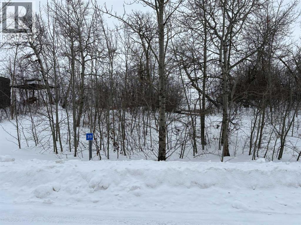 39 Sunset Lane, Rural Stettler No. 6, Alberta  T0C 2L0 - Photo 26 - A2288458