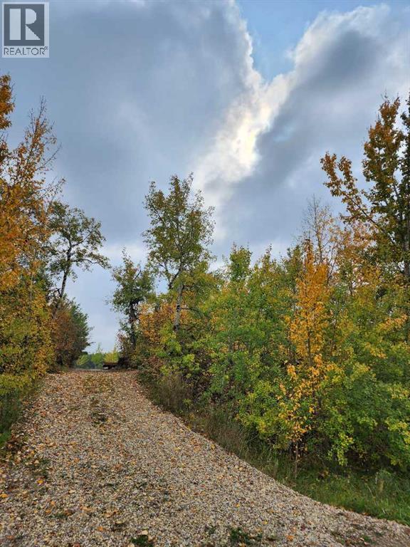 39 Sunset Lane, Rural Stettler No. 6, Alberta  T0C 2L0 - Photo 16 - A2288458