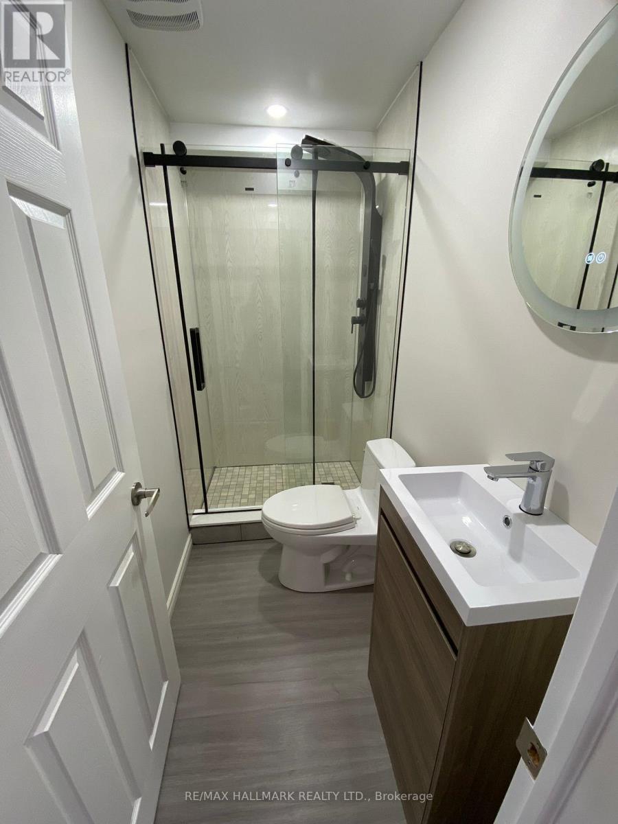 Basement - 142 Maguire Road, Newmarket, Ontario  L3X 1B8 - Photo 2 - N12912288