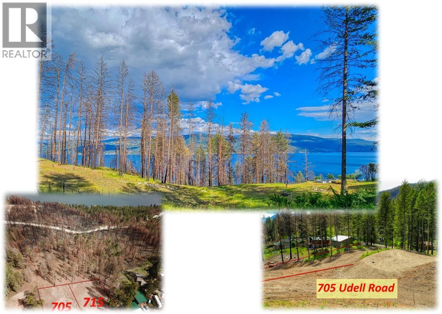 705 Udell Road, Vernon, British Columbia  V1H 2E3 - Photo 3 - 10376772