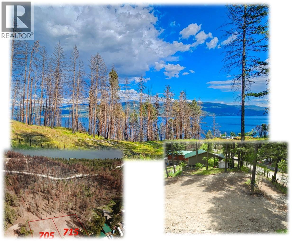 715 Udell Road, Vernon, British Columbia  V1H 2E3 - Photo 3 - 10376777