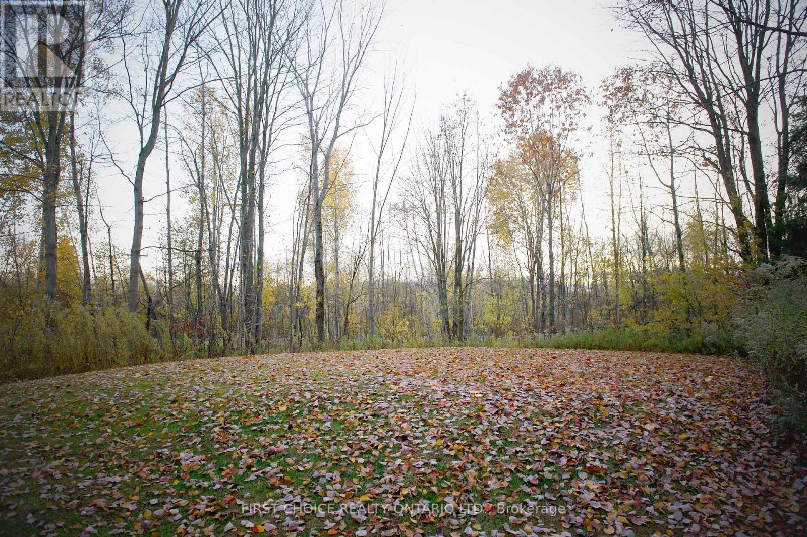 1383 Baker Road, The Nation, Ontario  K0A 1M0 - Photo 23 - X12912332