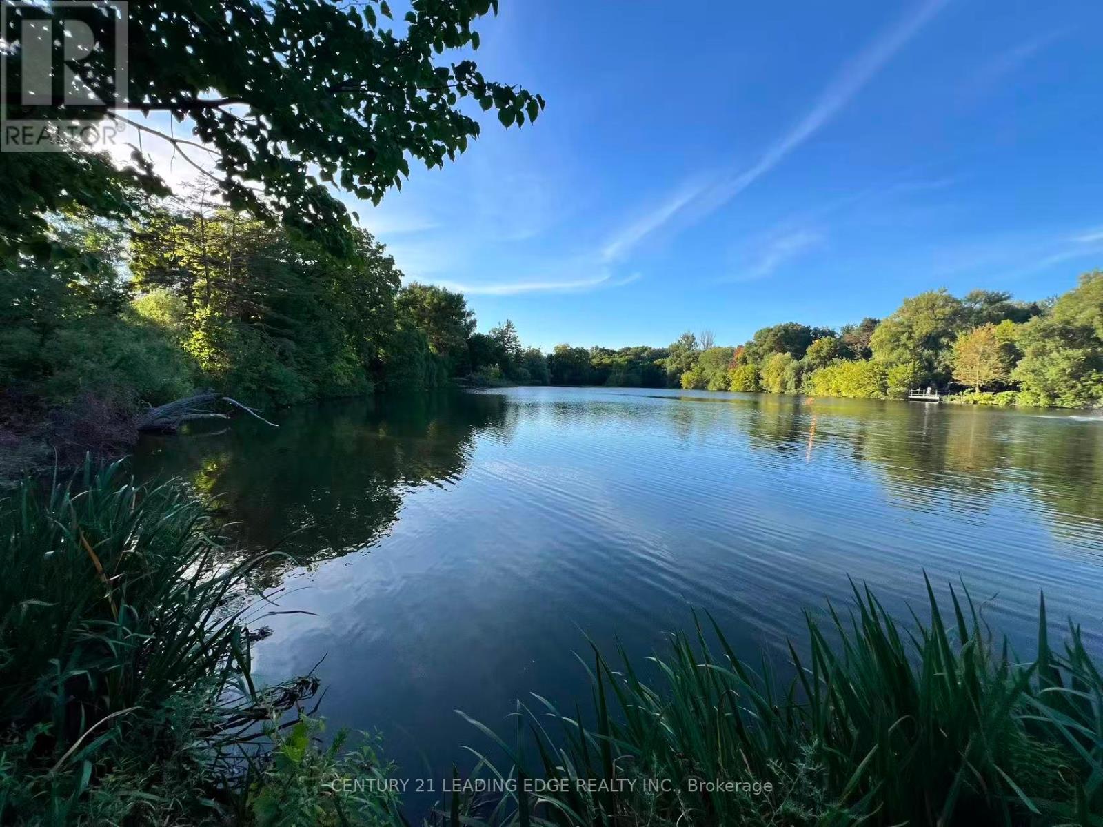 329 Mill Street, Richmond Hill, Ontario  L4C 4B6 - Photo 12 - N12912324