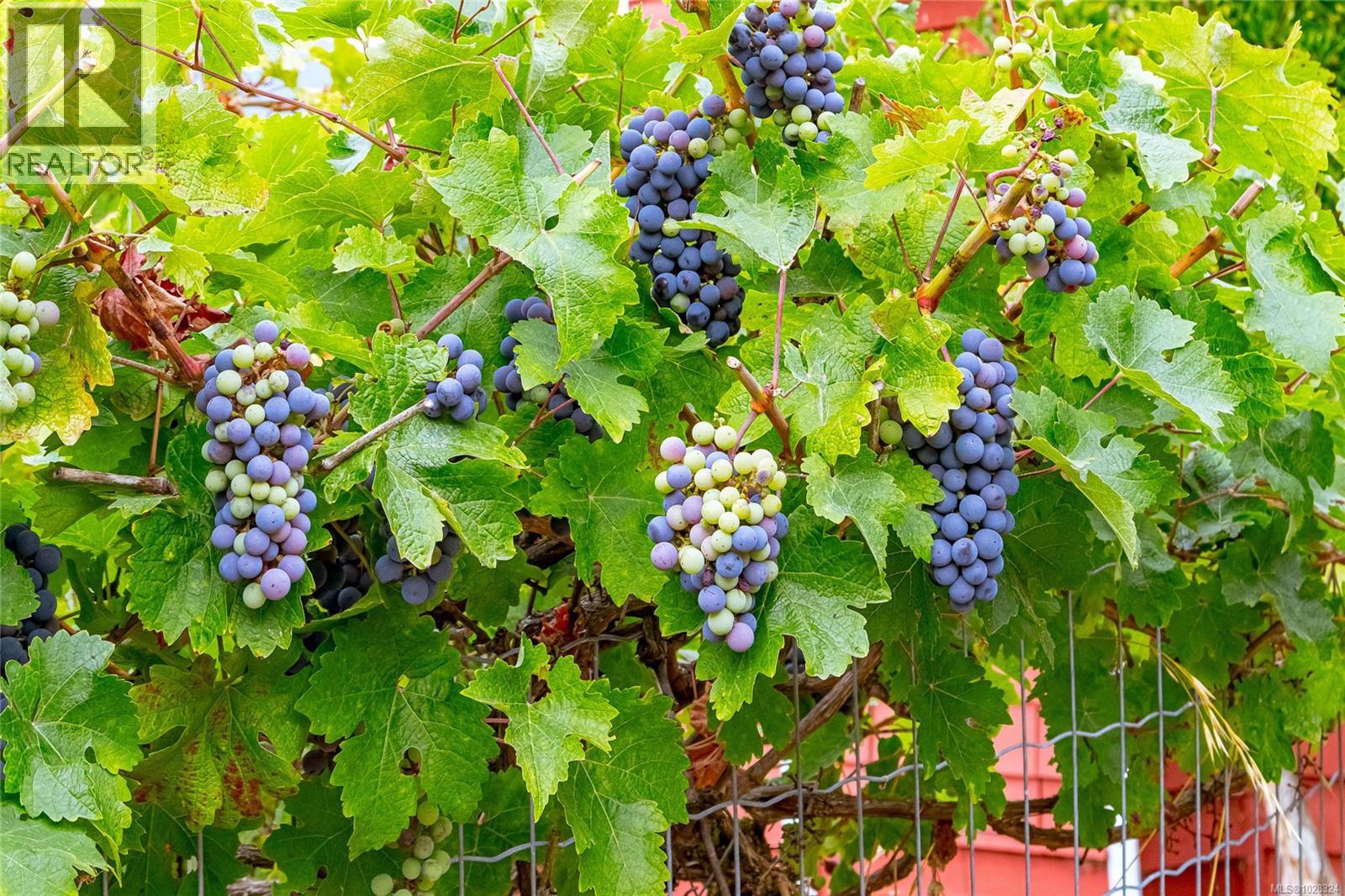 6883 Westcott Rd, Duncan, British Columbia  V9L 6A4 - Photo 44 - 1028324