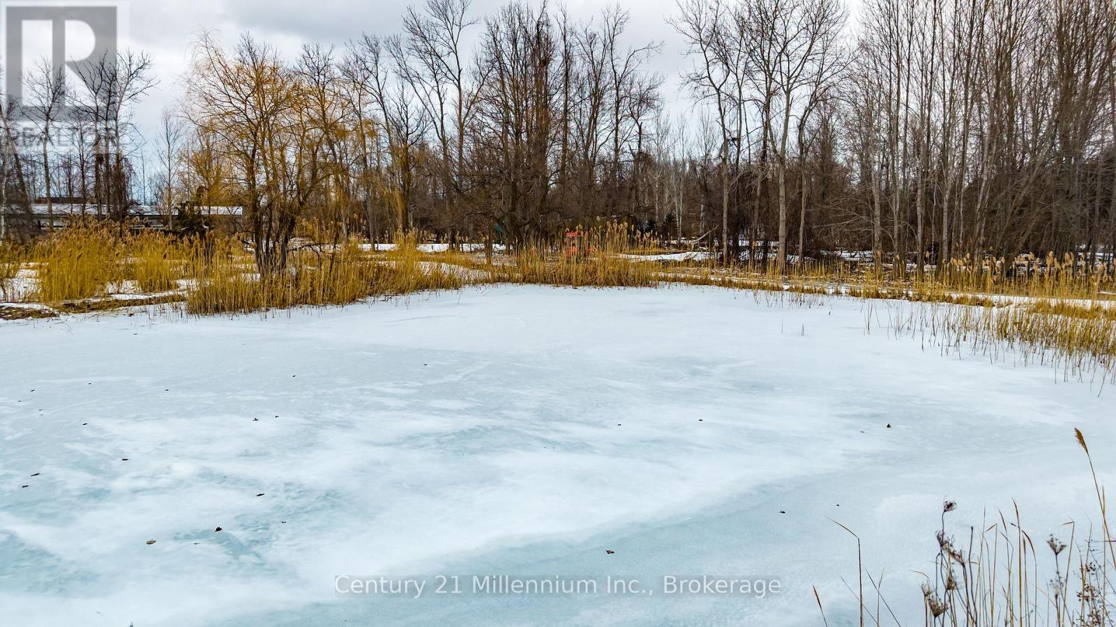 1547 County 42 Road, Clearview, Ontario  L0M 1S0 - Photo 5 - S12911660