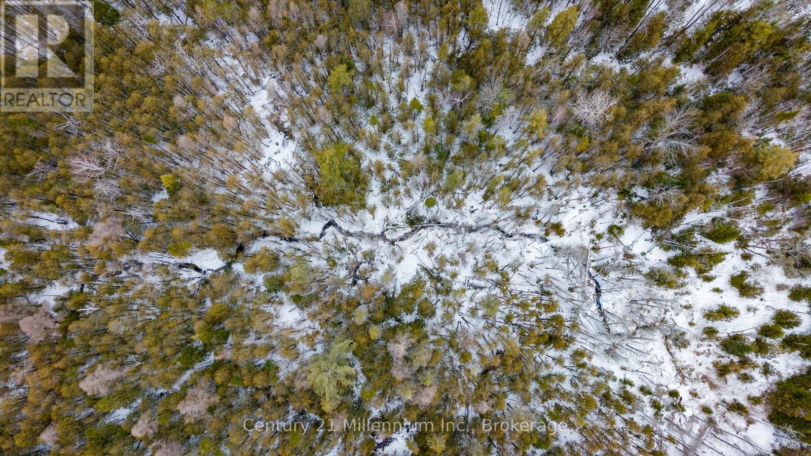 1547 County 42 Road, Clearview, Ontario  L0M 1S0 - Photo 8 - S12911660