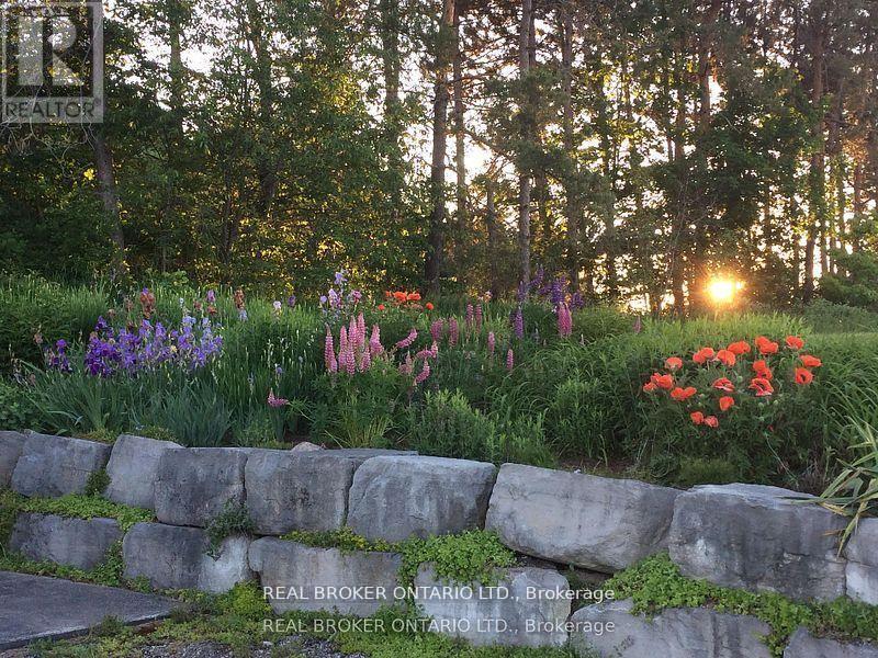 3 - 213 Horseshoe Valley Road E, Oro-Medonte, Ontario  L0K 1E0 - Photo 14 - S12912456