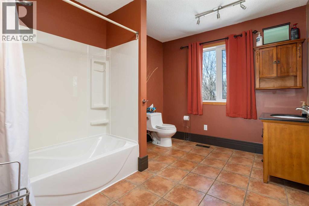 405 Sanden Street, Bawlf, Alberta  T0B 0J0 - Photo 19 - A2283798