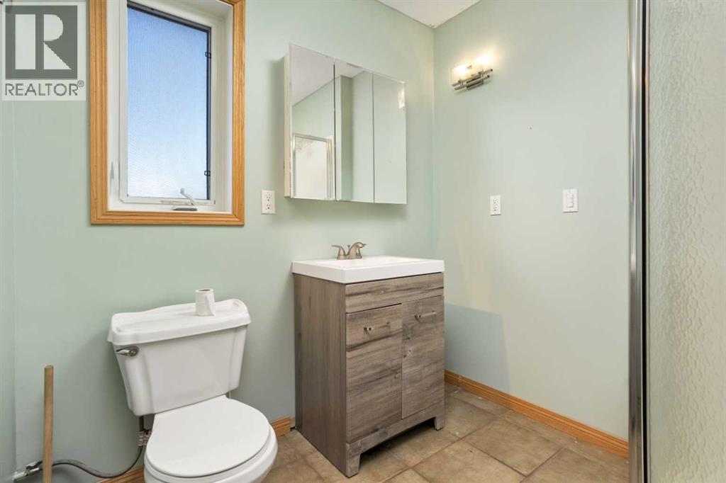 405 Sanden Street, Bawlf, Alberta  T0B 0J0 - Photo 22 - A2283798