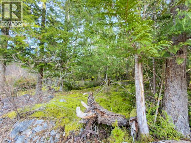 4728 Marjorie Road, Texada Island, British Columbia  V0N 3K0 - Photo 8 - 19658