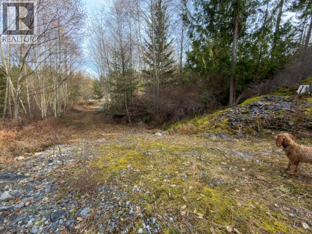 4728 Marjorie Road, Texada Island, British Columbia  V0N 3K0 - Photo 14 - 19658