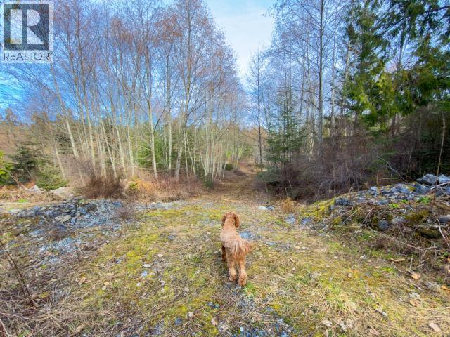 4728 Marjorie Road, Texada Island, British Columbia  V0N 3K0 - Photo 34 - 19658