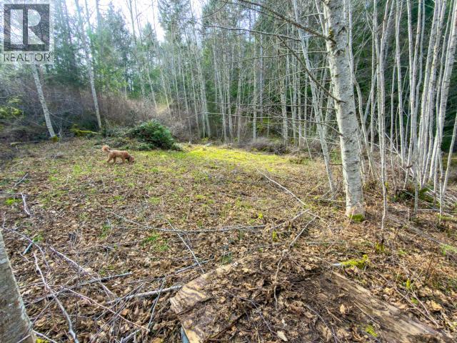 4728 Marjorie Road, Texada Island, British Columbia  V0N 3K0 - Photo 32 - 19658