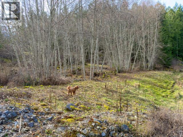 4728 Marjorie Road, Texada Island, British Columbia  V0N 3K0 - Photo 31 - 19658