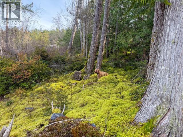 4728 Marjorie Road, Texada Island, British Columbia  V0N 3K0 - Photo 7 - 19658