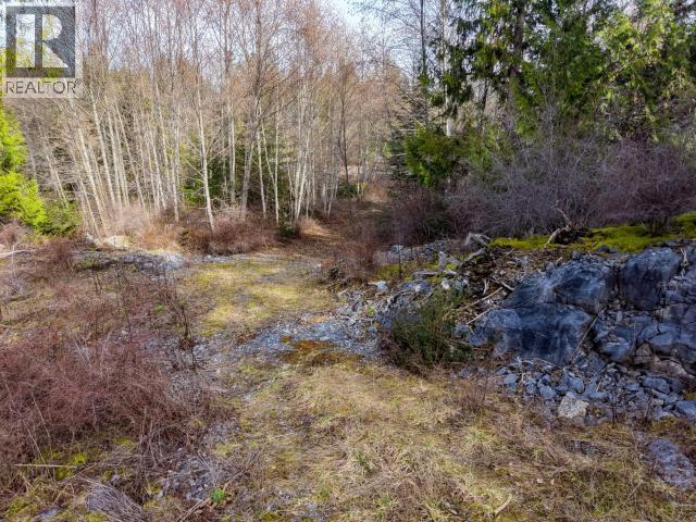 4728 Marjorie Road, Texada Island, British Columbia  V0N 3K0 - Photo 13 - 19658