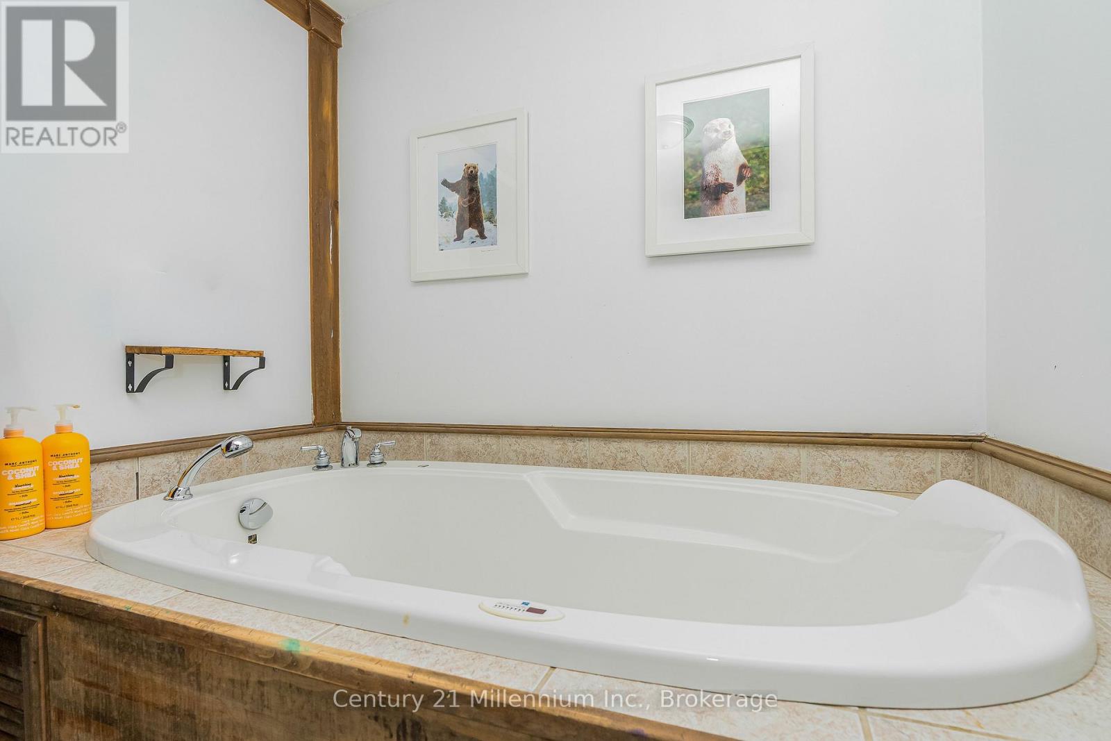 1547 County 42 Road, Clearview, Ontario  L0M 1S0 - Photo 33 - S12911660