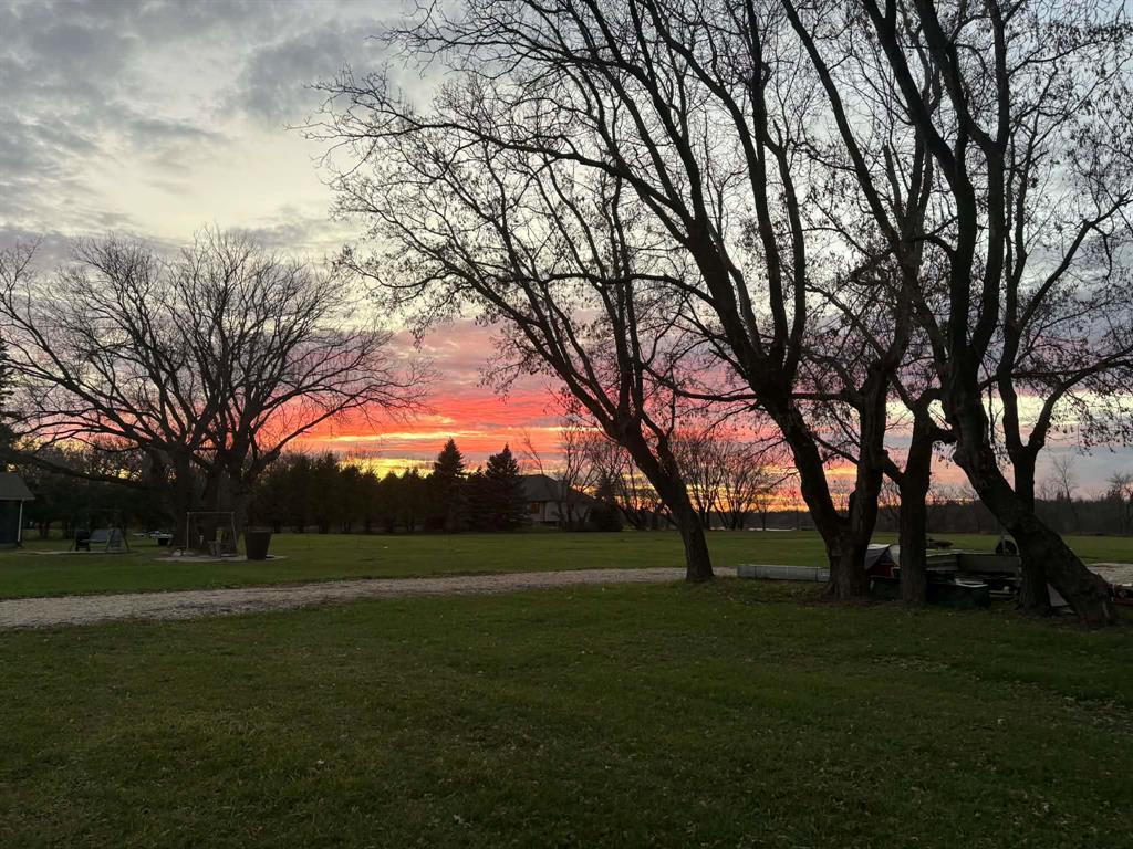 8232 Henderson Highway, East Selkirk, Manitoba  R1B 1A1 - Photo 3 - 202605250