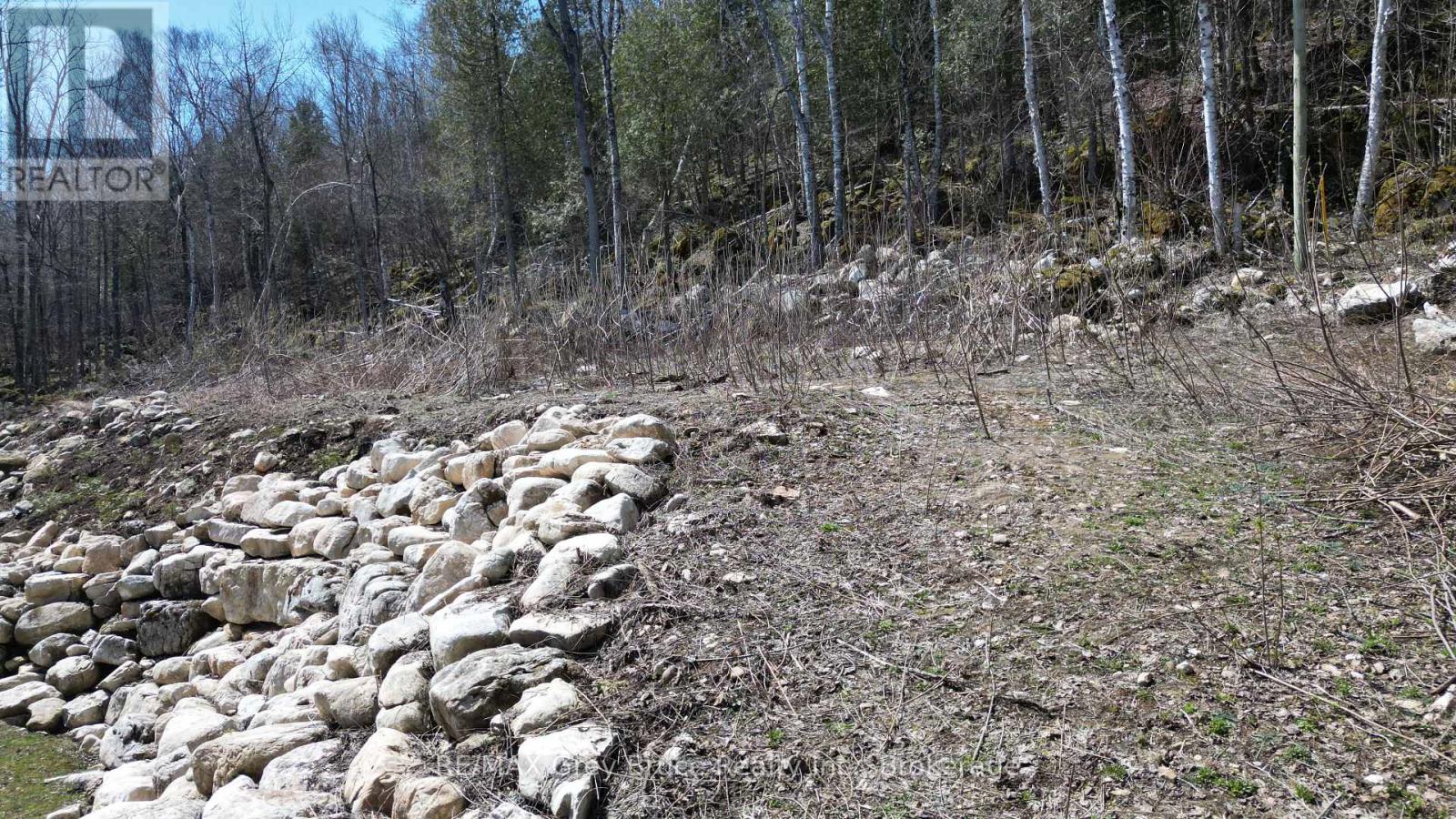 132-B Georgian Drive, Northern Bruce Peninsula, Ontario  N0H 1W0 - Photo 5 - X12912604