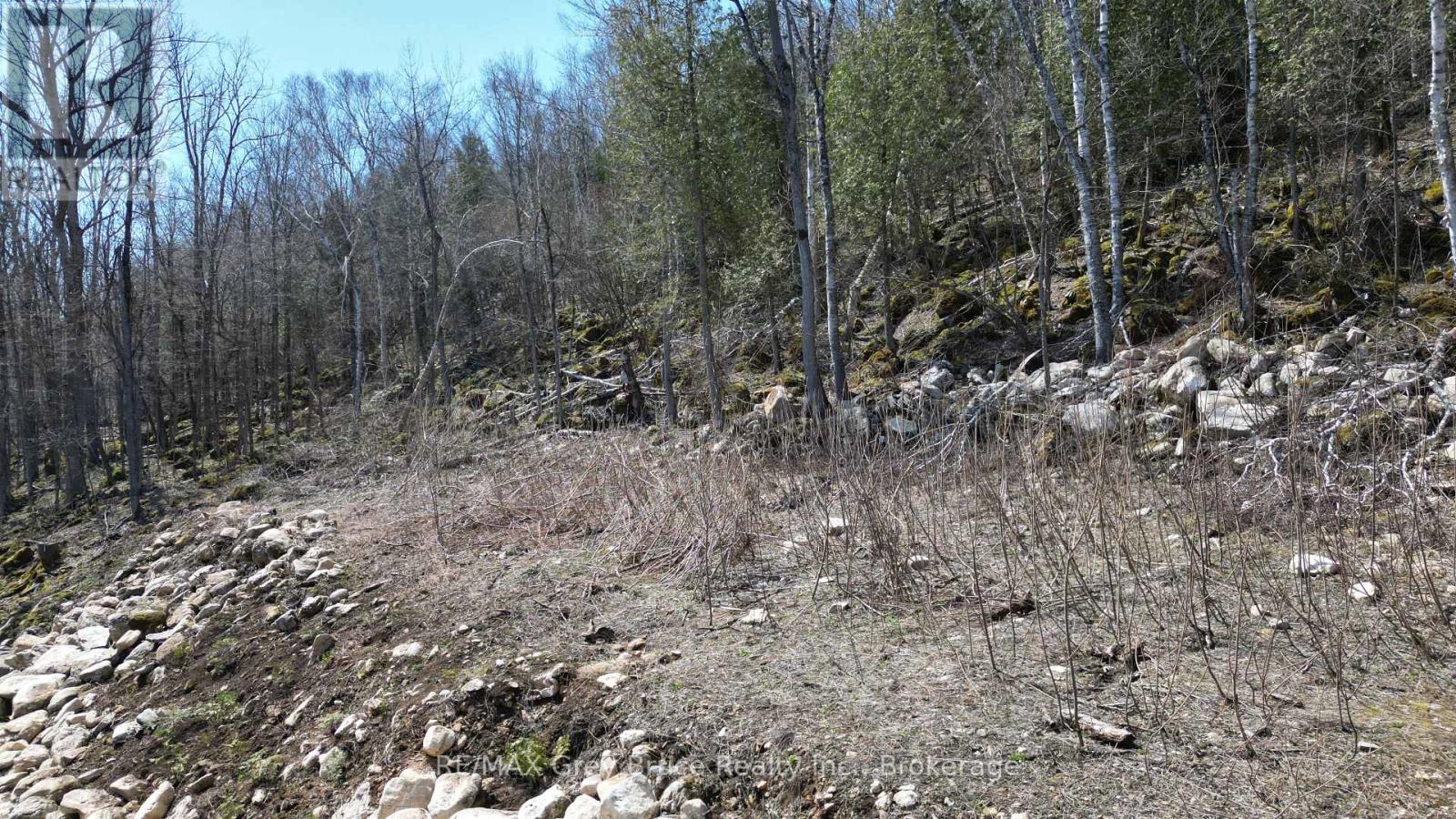 132-B Georgian Drive, Northern Bruce Peninsula, Ontario  N0H 1W0 - Photo 6 - X12912604