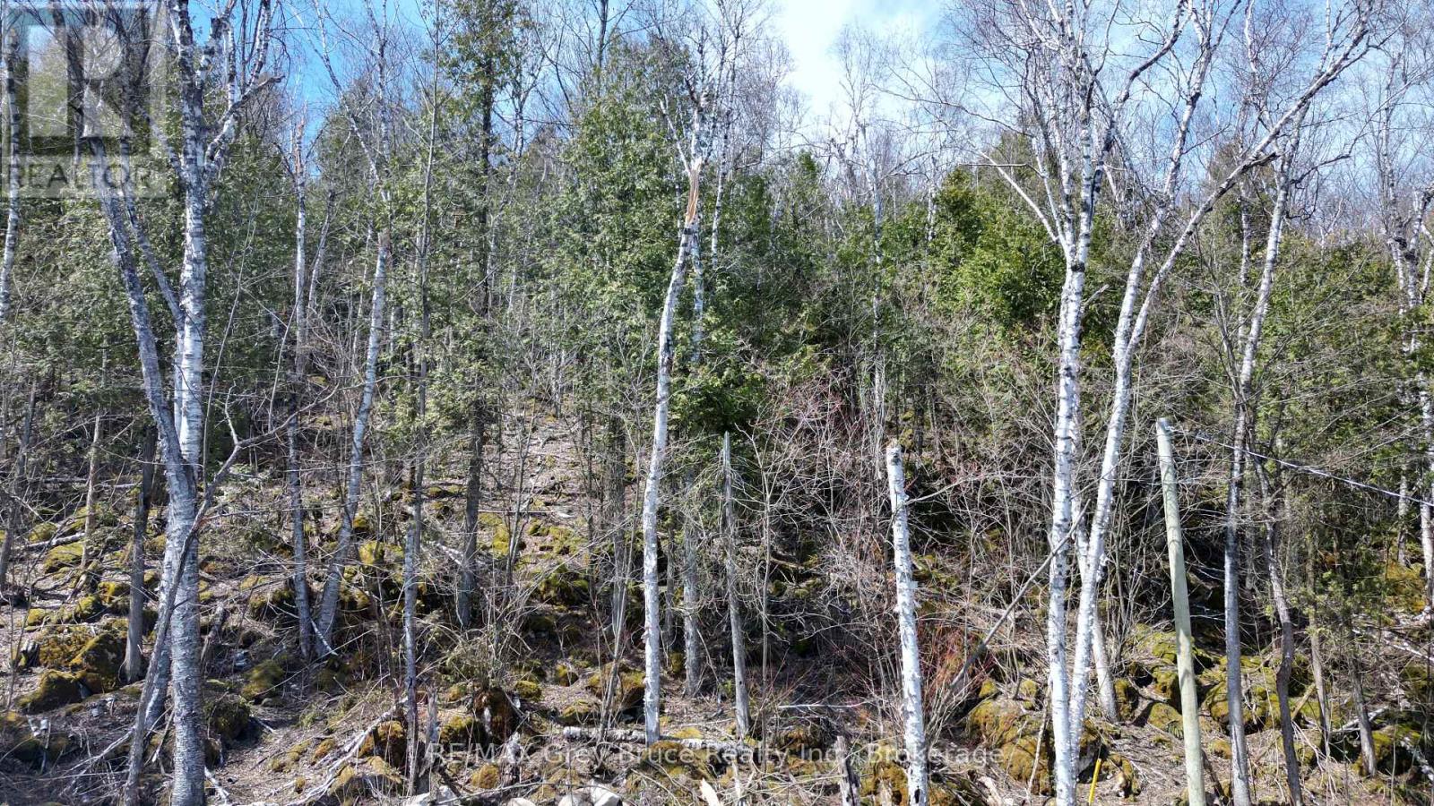 132-B Georgian Drive, Northern Bruce Peninsula, Ontario  N0H 1W0 - Photo 9 - X12912604