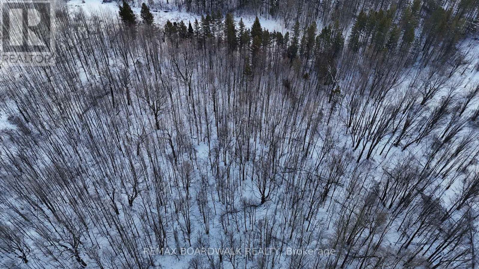 2955 Torwood Drive, Ottawa, Ontario  K0A 1T0 - Photo 12 - X12912672