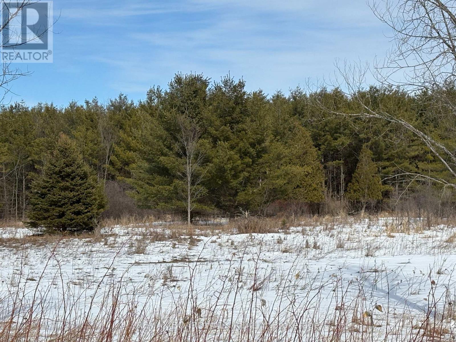 2955 Torwood Drive, Ottawa, Ontario  K0A 1T0 - Photo 26 - X12912672