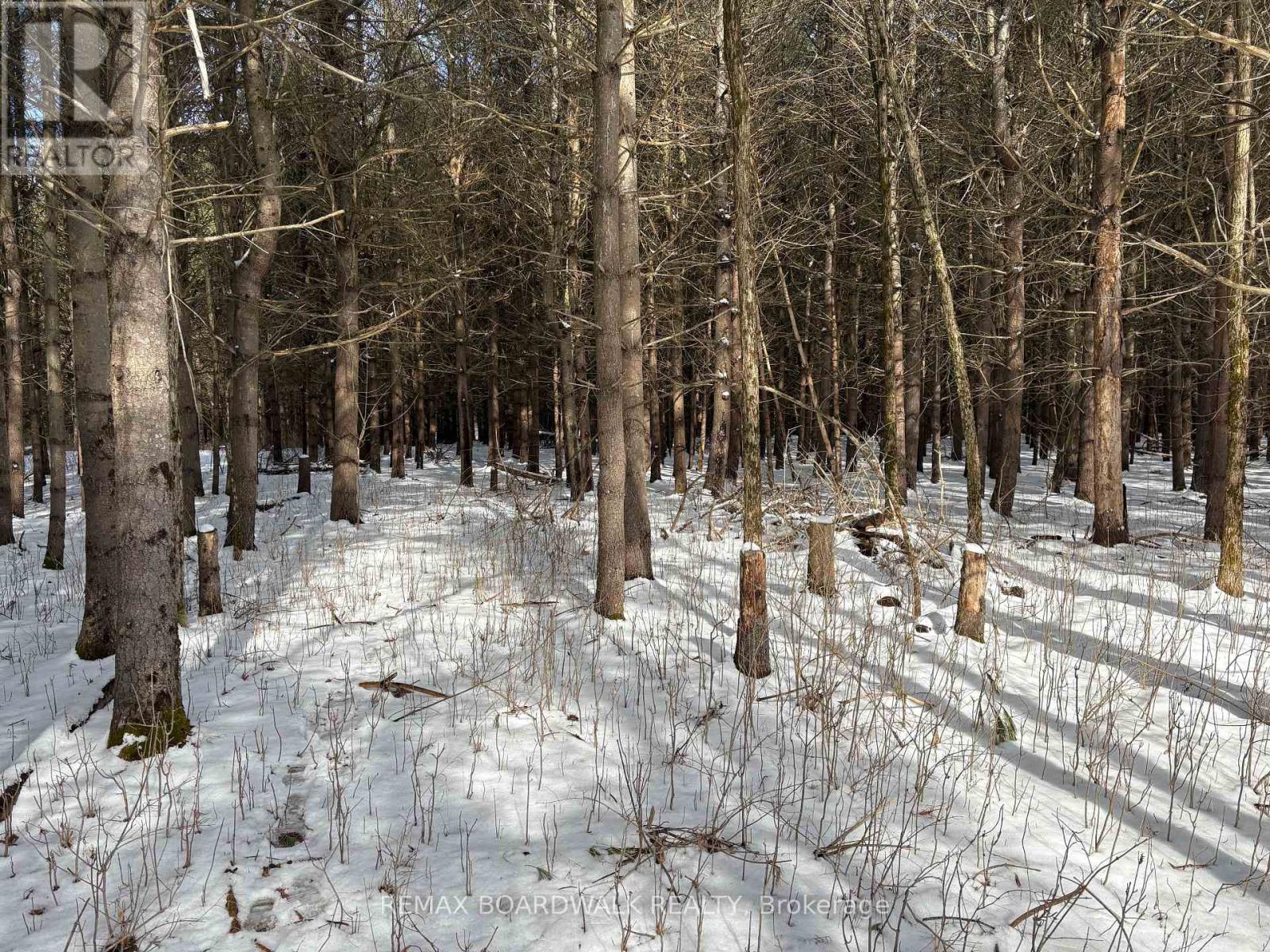 2955 Torwood Drive, Ottawa, Ontario  K0A 1T0 - Photo 36 - X12912672