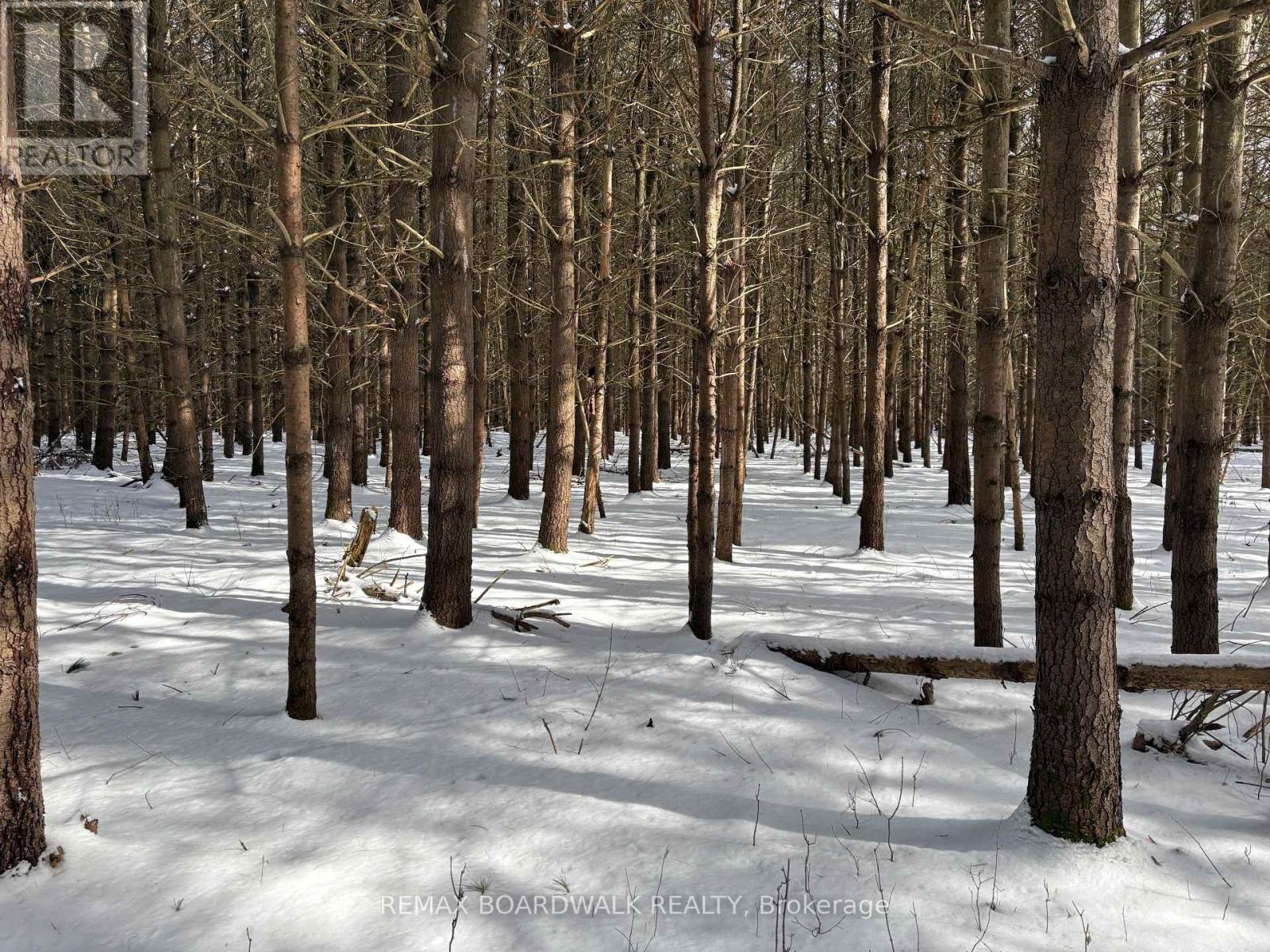 2955 Torwood Drive, Ottawa, Ontario  K0A 1T0 - Photo 37 - X12912672