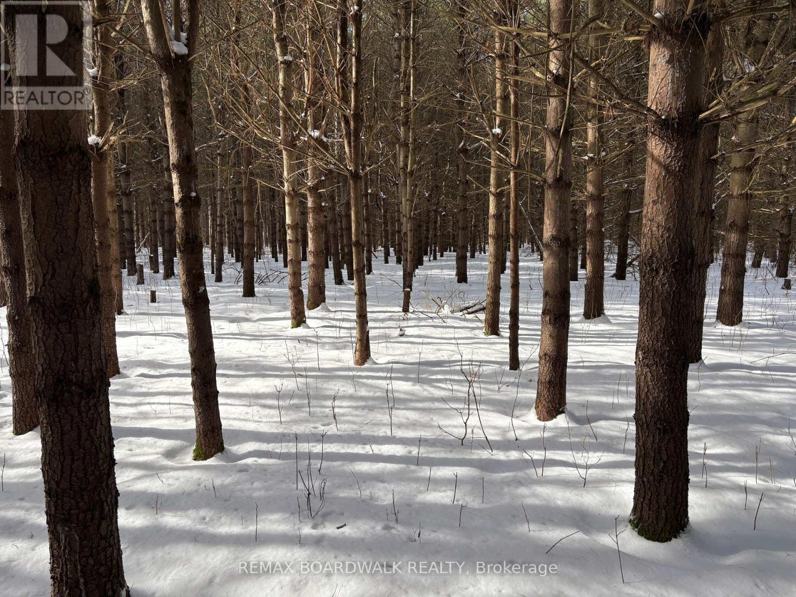 2955 Torwood Drive, Ottawa, Ontario  K0A 1T0 - Photo 38 - X12912672