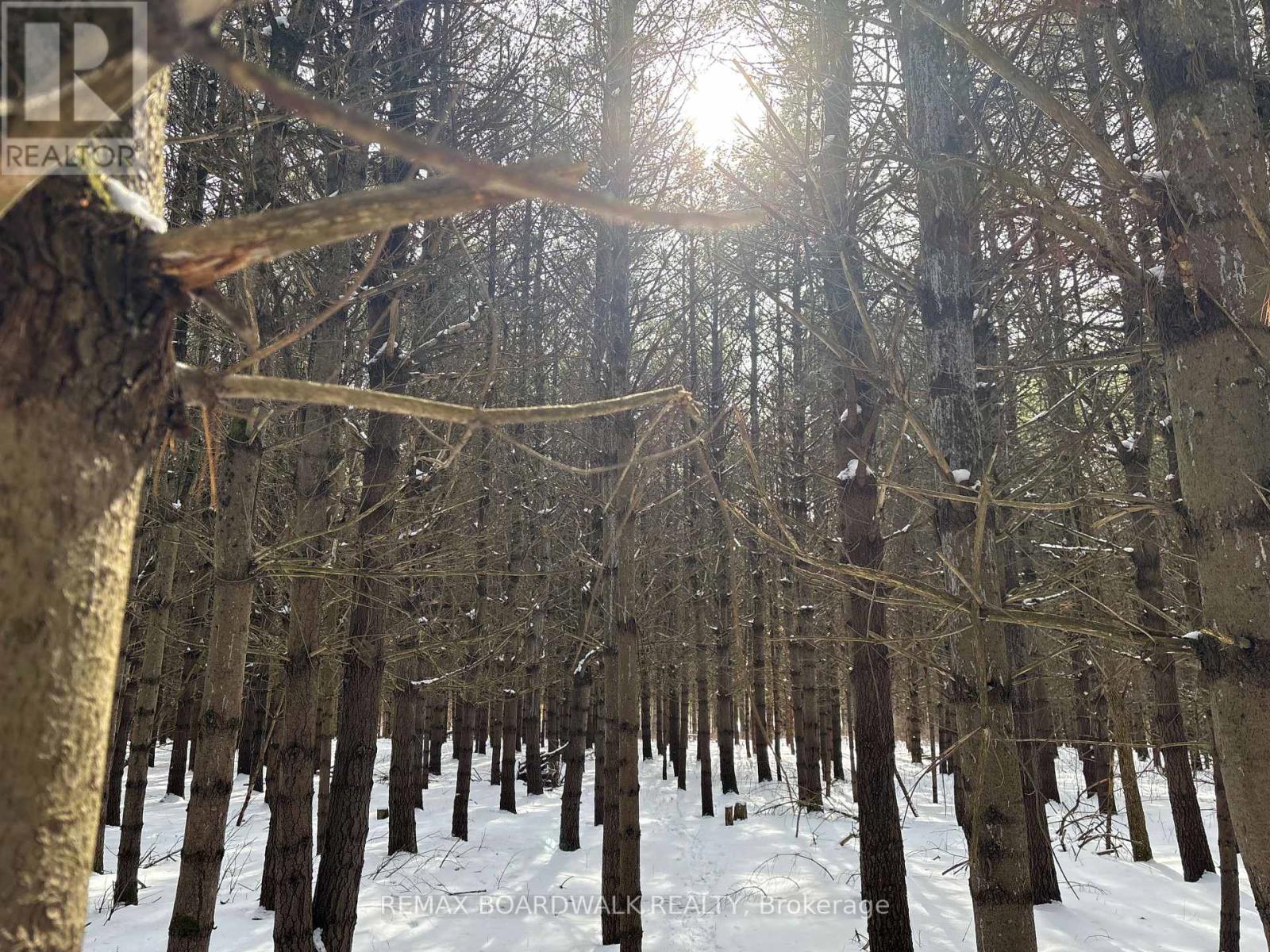 2955 Torwood Drive, Ottawa, Ontario  K0A 1T0 - Photo 39 - X12912672