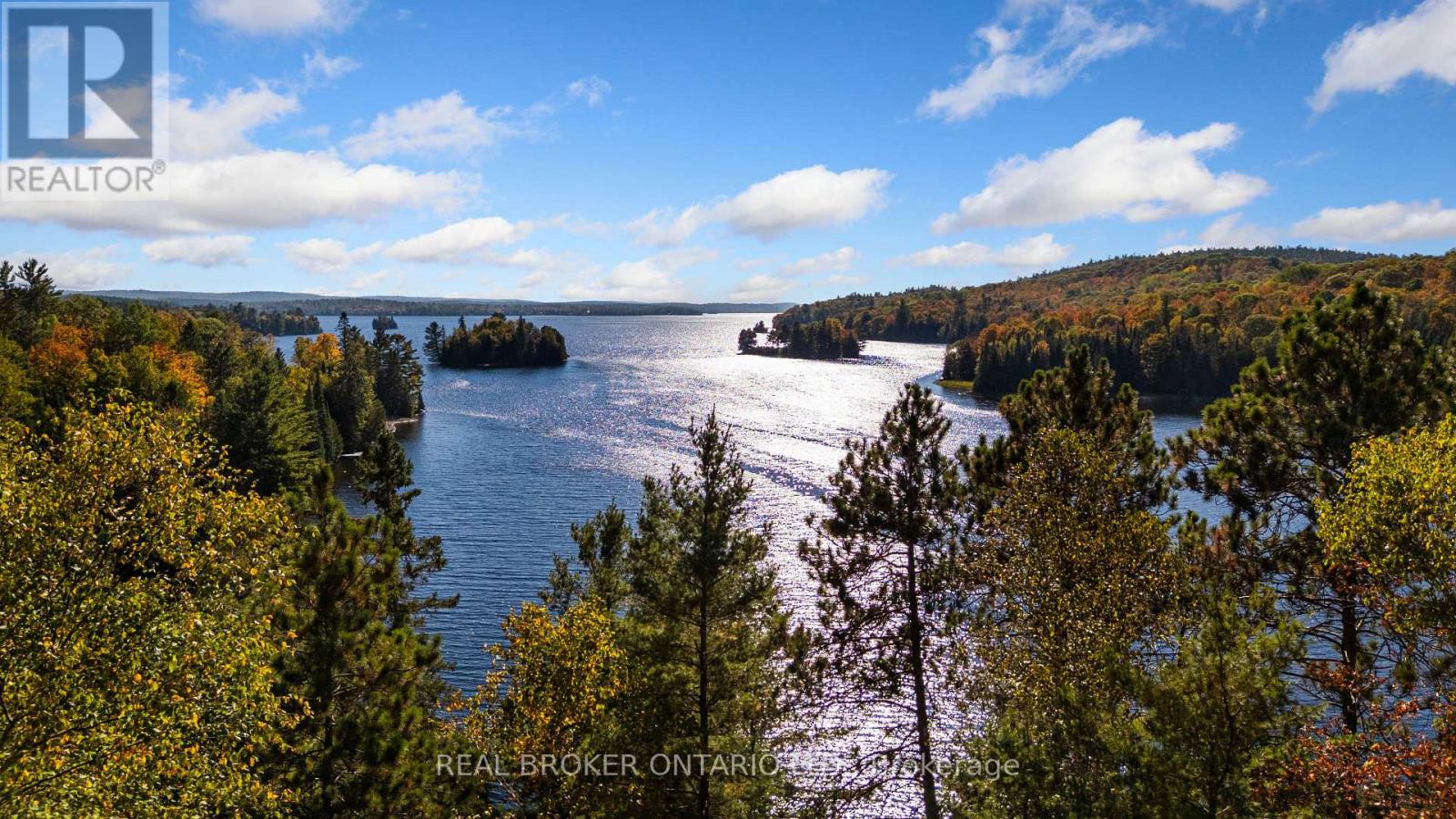 67 Birch Hill Lane, Greater Madawaska, Ontario  K0J 1H0 - Photo 46 - X12912696