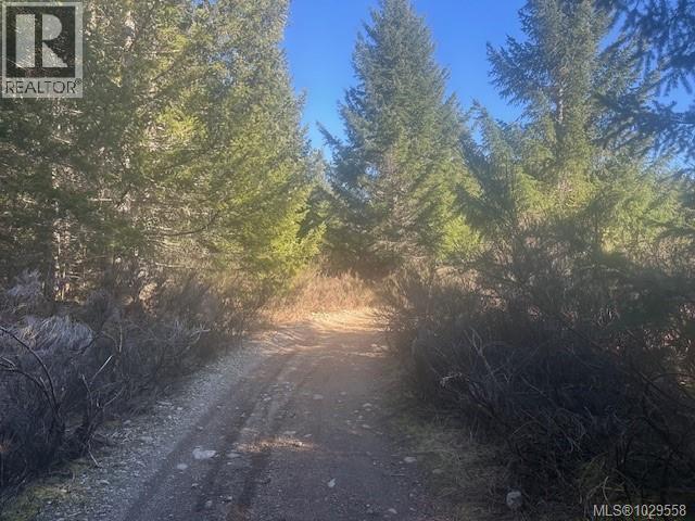 200 Hudgrove Rd, Lake Cowichan, British Columbia  V0R 2G0 - Photo 4 - 1029558