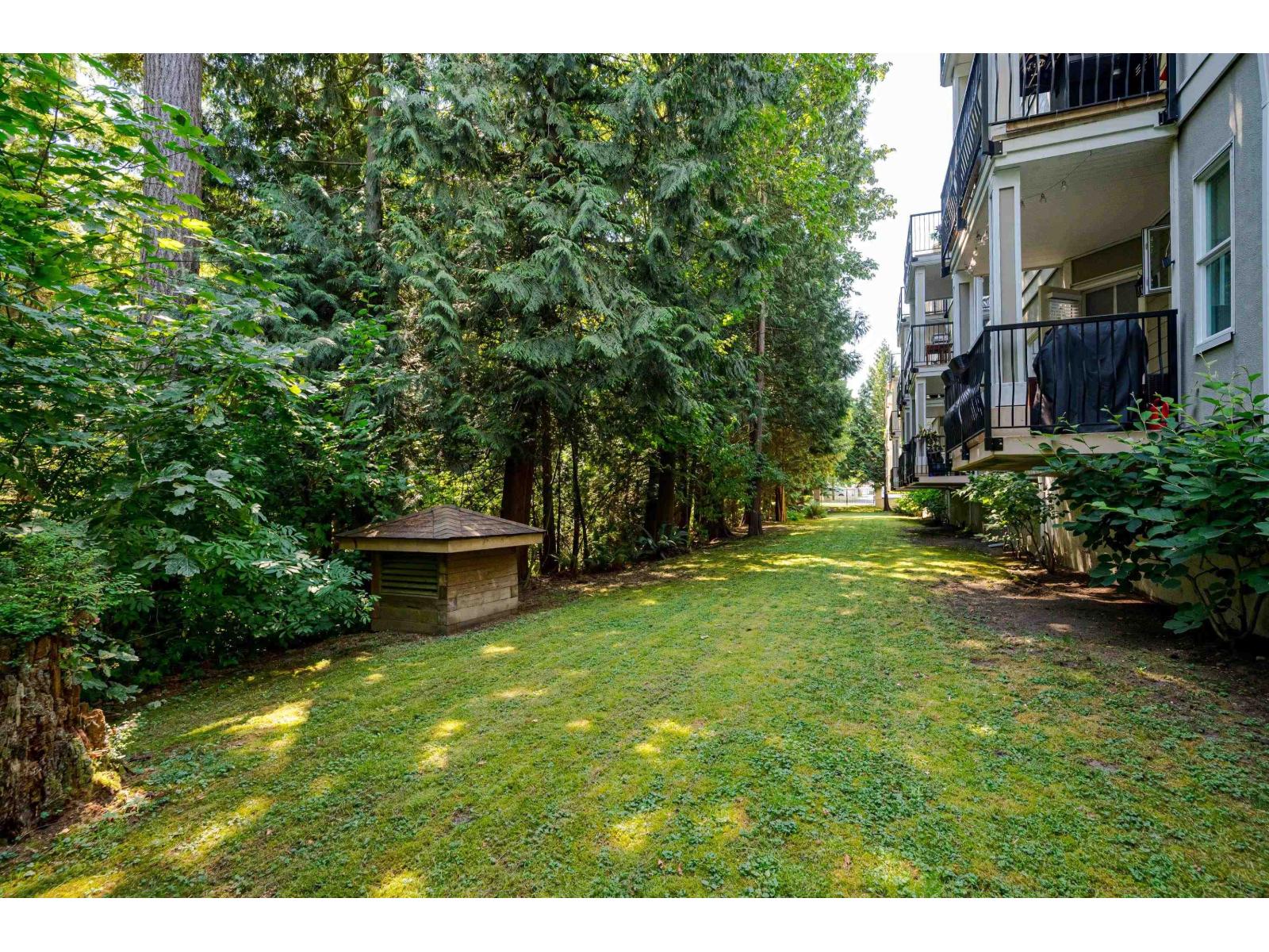 114 10320 156 Street, Surrey, British Columbia V3W 0W8 - Photo 23 - R3098003