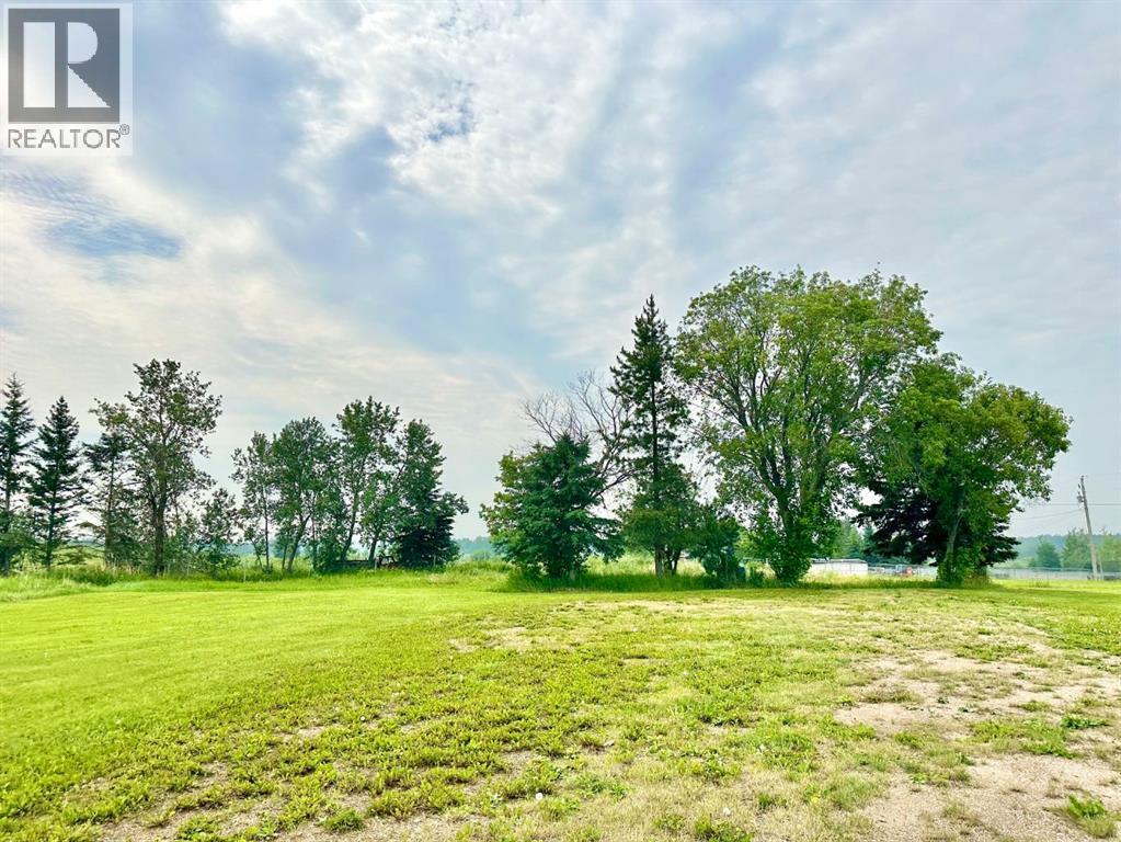 10307 94 Ave., Lac La Biche, Alberta  T0A 2C0 - Photo 10 - A2233868