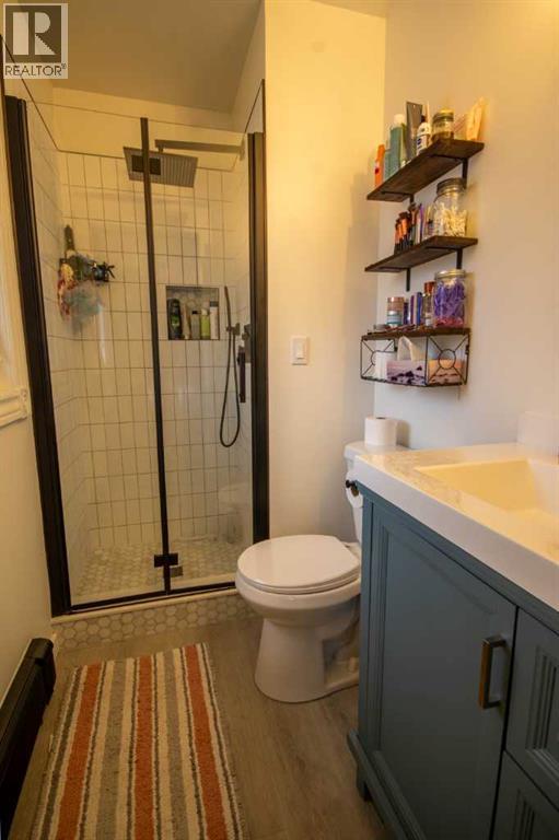 218 8 Avenue NE, Sundre, Alberta  T0M 1X0 - Photo 19 - A2295466