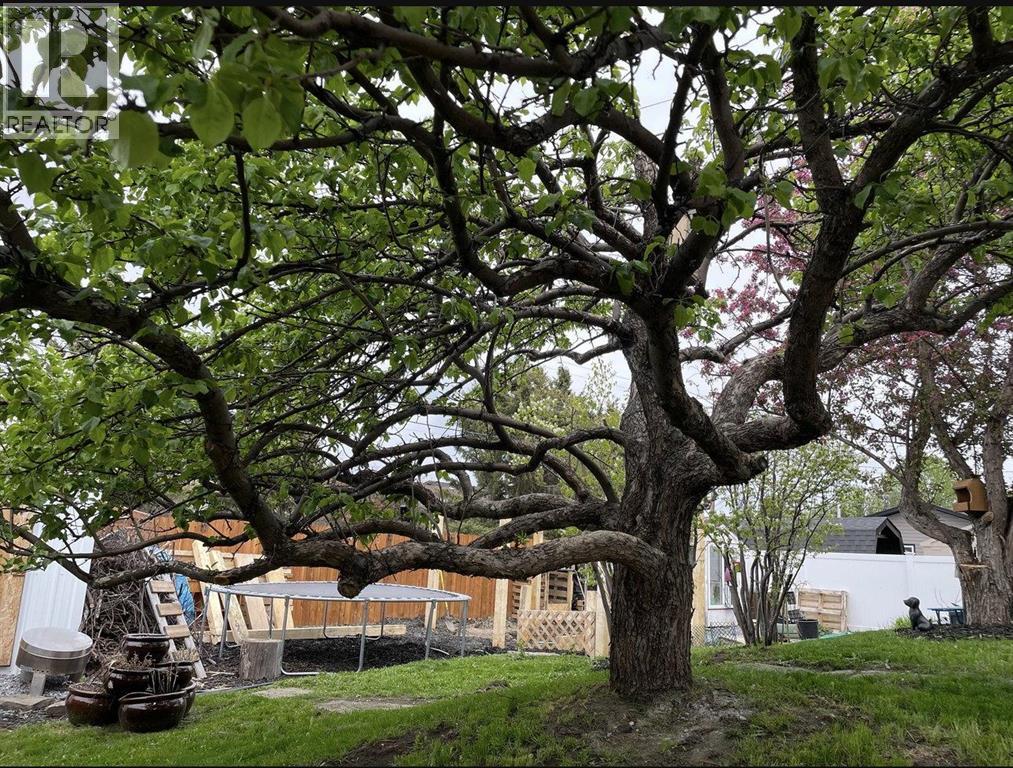 218 8 Avenue NE, Sundre, Alberta  T0M 1X0 - Photo 3 - A2295466