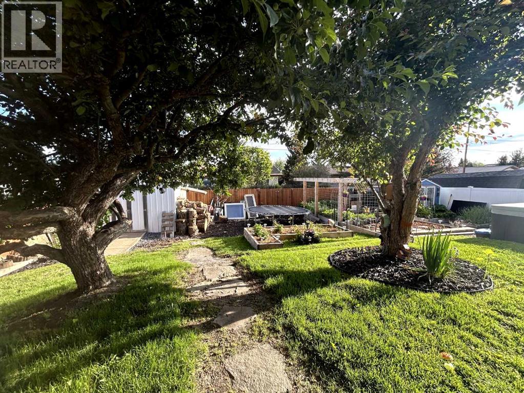 218 8 Avenue NE, Sundre, Alberta  T0M 1X0 - Photo 4 - A2295466