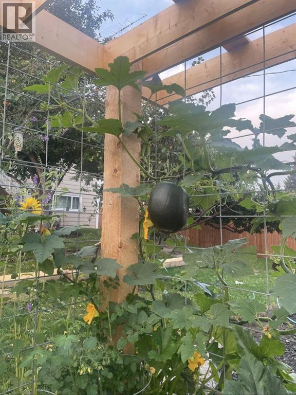 218 8 Avenue NE, Sundre, Alberta  T0M 1X0 - Photo 6 - A2295466